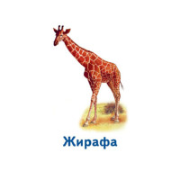 Настільна гра Парочки: Світ тварин 1392003 6 ігор