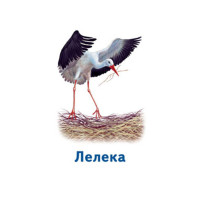 Настільна гра Парочки: Світ тварин 1392003 6 ігор