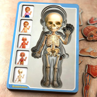 Дерев'яний пазл-вкладиш "Анатомія людини – дівчинка" Ubumblebees (ПСФ025) PSF025 будова тіла