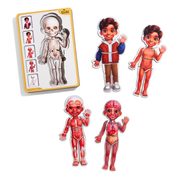 Деревяний пазл-вкладиш "Анатомія людини - хлопчик-2" (ПСД261) PSD261 будова тіла