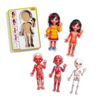 Деревяний пазл-вкладиш "Анатомія людини - дівчинка-2" (ПСД263) PSD263 будова тіла