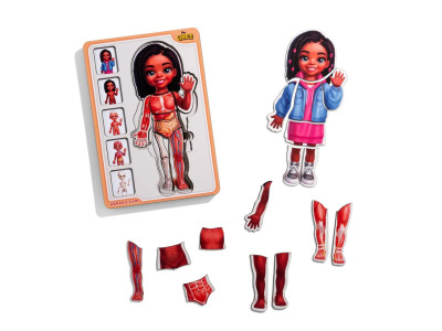 Деревяний пазл-вкладиш "Анатомія людини - дівчинка-3" (ПСД264) PSD264 будова тіла