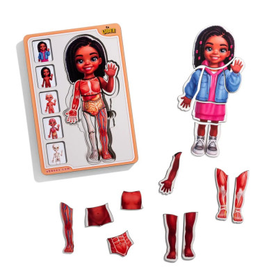 Деревяний пазл-вкладиш "Анатомія людини - дівчинка-3" (ПСД264) PSD264 будова тіла