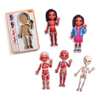 Деревяний пазл-вкладиш "Анатомія людини - дівчинка-3" (ПСД264) PSD264 будова тіла