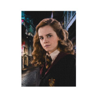 Пазл класичний Hard-M "Harry Potter. Портрет Герміони" 200577 450 елементів
