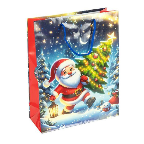 Пакет подарунковий "Новий Рік" 2576-1-4 розмір 18х215х8 см