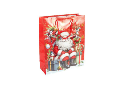 Пакет подарунковий "Новий Рік" 2579-4 розмір 18х215х8 см