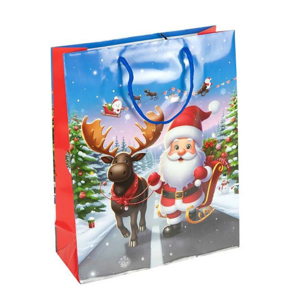 Пакет подарунковий "Новий Рік" 2576-1-1 розмір 18х215х8 см Пакет подарунковий "Новий Рік" 2576-1-1 розмір 18х215х8 см