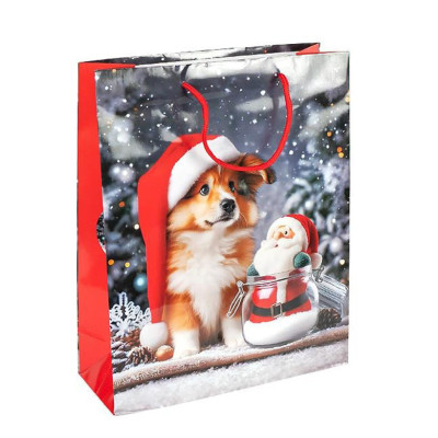 Пакет подарунковий "Новий Рік" 2577-4 розмір 18х215х8 см Пакет подарунковий "Новий Рік" 2577-4 розмір 18х215х8 см