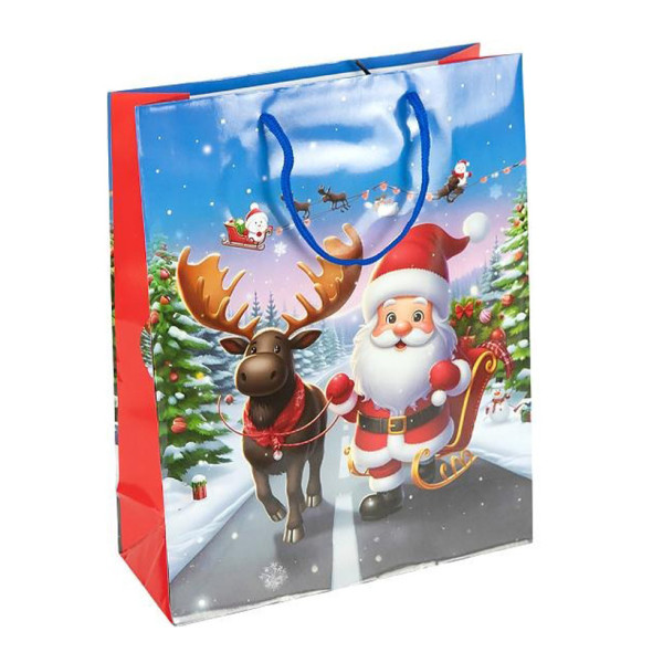 Пакет подарунковий "Новий Рік" 2576-2-1 розмір 26х32х10 см Пакет подарунковий "Новий Рік" 2576-2-1 розмір 26х32х10 см