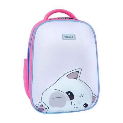 Рюкзак шкільний Turtle Bagland 736919175 обєм 17 л