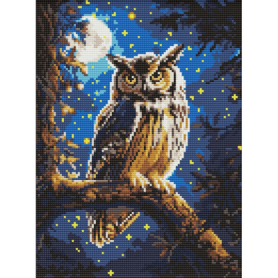 Алмазна мозаїка "Нічна сова" ©art_selena_ua AMO8160 30x40 см