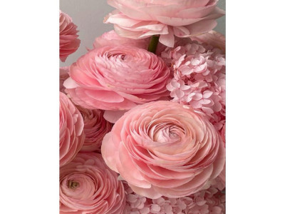 Алмазна мозаїка "Рожеві лютики" JSFH85887 без підрамника 40х50 см Алмазна мозаїка "Рожеві лютики" JSFH85887 без підрамника 40х50 см