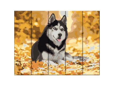 Картина за номерами по дереву "Хаскі" ASW012 30х40 см