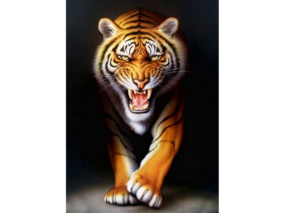 Алмазна мозаїка "Тигр на чорному фоні" JSDF70999 без підрамника 30х40 см Алмазна мозаїка "Тигр на чорному фоні" JSDF70999 без підрамника 30х40 см