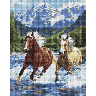 Алмазна мозаїка "Сила у русі" AMO20010 40х50 см Алмазна мозаїка "Сила у русі" AMO20010 40х50 см