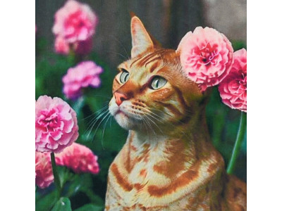 Алмазна мозаїка "Рудий кіт" HEE16302 30х30 см