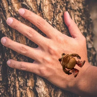 Дитячі тимчасові тату "Італійський брейнрот" Italian-brainrot-tattoo-1 12х7 см