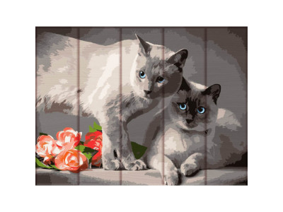 Картина за номерами по дереву "Сіамські коти" ASW128 30х40 см