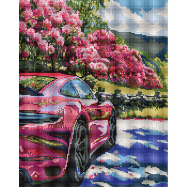 Алмазна мозаїка "Рух у кольорі" AMO20113 40х50 см