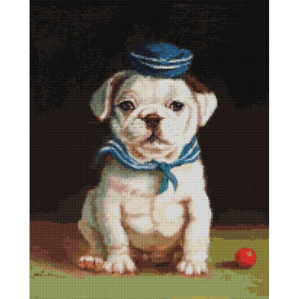 Алмазна мозаїка "Бульдог" ©Lucia Heffernan DBS1205 40x50 см