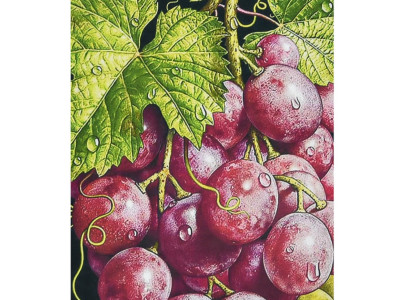 Алмазна мозаїка "Грона багатства" HEG87076 30х40 см Алмазна мозаїка "Грона багатства" HEG87076 30х40 см