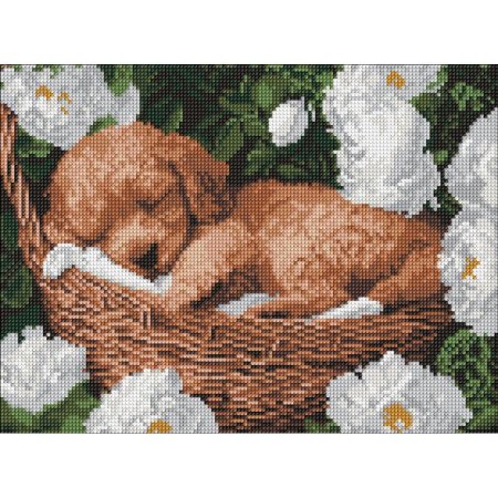 Алмазна мозаїка "Сплячий пудель" ©art_selena_ua AMO8170 30x40 см