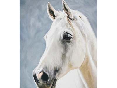 Алмазна мозаїка "Сила природи" SK88246 40х50 см Алмазна мозаїка "Сила природи" SK88246 40х50 см