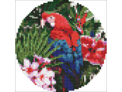 Алмазна мозаїка на круглому підрамнику "Яскравий папуга" AM-R7918 d19см