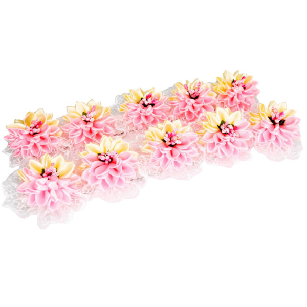 Набір для дівчаток Бантики 0108-366, 10 штук