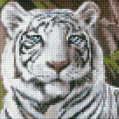 Алмазна мозаїка без підрамника "Бенгальський тигр" AMC7681 20х20 см