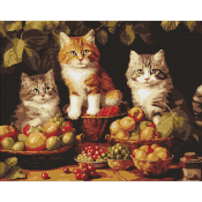 Алмазна мозаїка "Котики і фрукти" AMO7940 40х50см