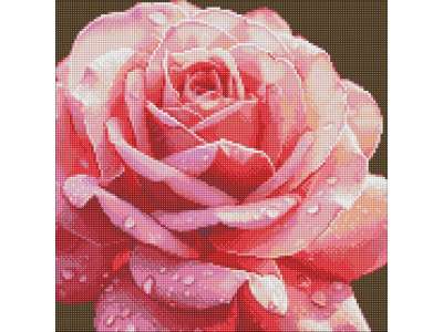 Алмазна мозаїка без підрамника "Повна троянда" AMC7854 40х40см