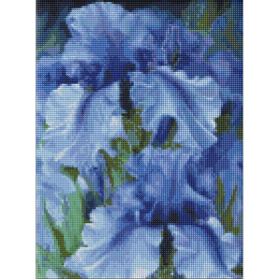Алмазна мозаїка "Блакитні іриси" ©Юлія Томеско Ідейка AMO7129 30х40 см