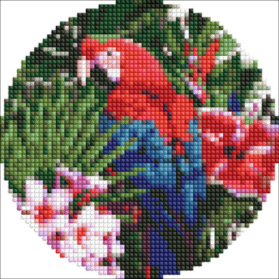 Алмазна мозаїка на круглому підрамнику "Яскравий папуга" AM-R7918 d19см
