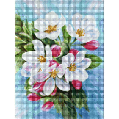 Алмазна мозаїка "Цвітіння яблуні" ©annasteshka AMO7555 Ідейка 30х40 см