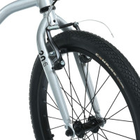Велосипед дитячий LIGHTY MB 20LIGHTY SILVER колеса 20 дюймів