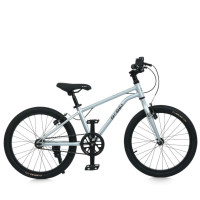 Велосипед дитячий LIGHTY MB 20LIGHTY SILVER колеса 20 дюймів