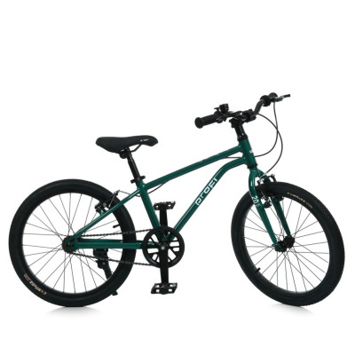 Велосипед дитячий LIGHTY MB 20LIGHTY RAIN FOREST колеса 20 дюймів