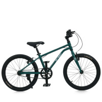 Велосипед дитячий LIGHTY MB 20LIGHTY RAIN FOREST колеса 20 дюймів