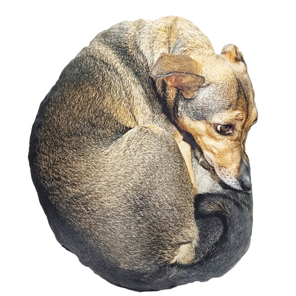 Дитяча мяка іграшка "Собака Маня" DOG-M 42 см