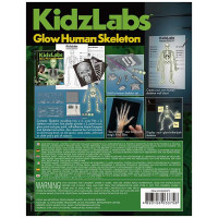 Набір для досліджень 4M Скелет людини (00-03375)