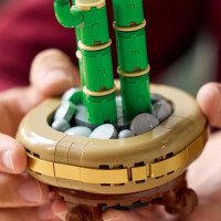Конструктор LEGO Botanicals Бамбук щастя 325 деталей (10344) Конструктор LEGO Botanicals Бамбук щастя 325 деталей (10344)