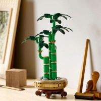 Конструктор LEGO Botanicals Бамбук щастя 325 деталей (10344) Конструктор LEGO Botanicals Бамбук щастя 325 деталей (10344)