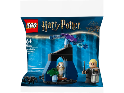 Конструктор LEGO Harry Potter Драко у Забороненому лісі 33 деталі (30677)