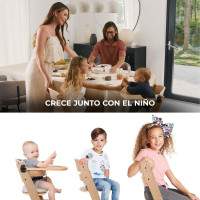 Стільчик для годування Kinderkraft Enock Brown (KKKENOCBRWF0000) Стільчик для годування Kinderkraft Enock Brown (KKKENOCBRWF0000)