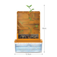 Набір для досліджень 4М Вирощування рослин та експерименти Лабіринт (00-03352)