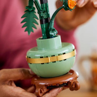 Конструктор LEGO Botanicals Хризантема 278 деталей (10368)