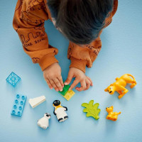 Конструктор LEGO DUPLO Сімейства диких тварин: пінгвіни та леви 10 деталей (10442)