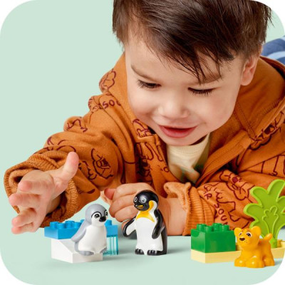 Конструктор LEGO DUPLO Сімейства диких тварин: пінгвіни та леви 10 деталей (10442)
